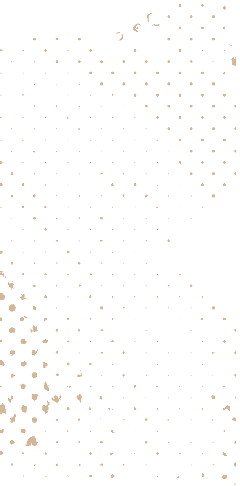 https://25.arc.it/wp-content/uploads/2021/04/floating_image_03.png